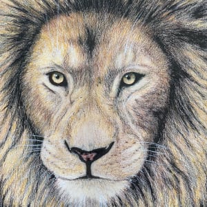 Lion by Wanda Fraser