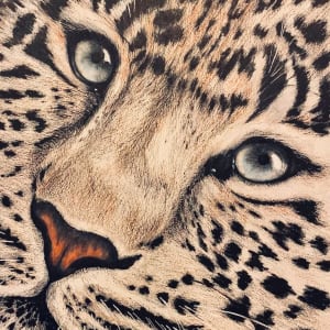 Leopard by Wanda Fraser