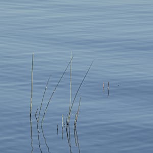 Morning Calm #1 by Kent Burkhardsmeier