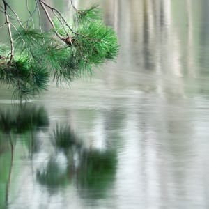 Dipping #1 by Kent Burkhardsmeier 