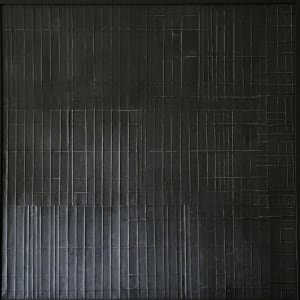 Murder of Crows 2 by Jude Barton