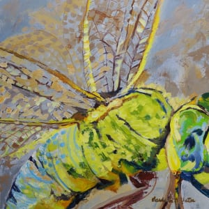 Prairie Macro 16: Emperor Dragonfly by Barbara Burnett Vater