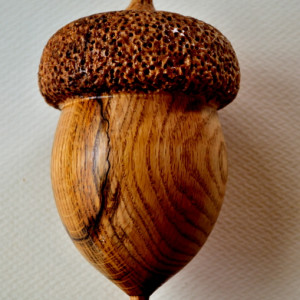 Large Acorn by Homer Daehn