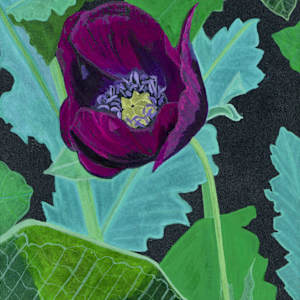 Poppy Nights 2 by Jessica Gutierrez, Image 1.