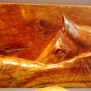Horse in Relief #3 by Homer Daehn
