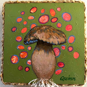 Fungi Boletus by Cynthia Quinn