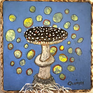 Fungi Amanita by Cynthia Quinn