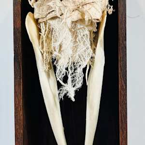 Keeper of Bones by Katherine Engen