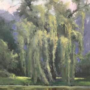 That Willow on the Shore of the Sugar River at Belleville (Framed original) by Jan Norsetter