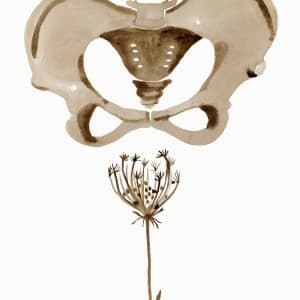 Rootwork (Wild Carrot) by Lesley Anne Numbers