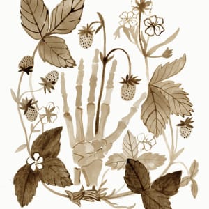 Rootwork (Wild Strawberry) by Lesley Anne Numbers