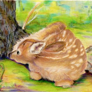 Spring Fawn by Diane Pellowe