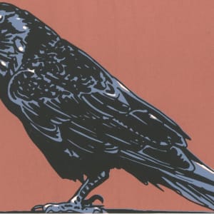 Raven (Framed) by John Miller