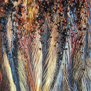 Rusted Away by Sharon Wright, Image 1.