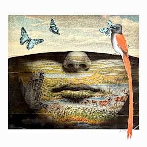 Meditation by Jen Schultz