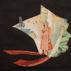 Where the Birds Begin by Jen Schultz