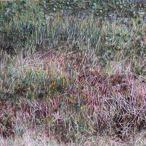 September Keepsake by Sharon Wright, Image 1.