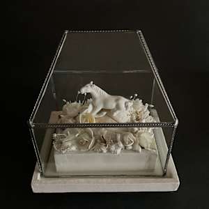 Shells & Bones by Mary Dickey 