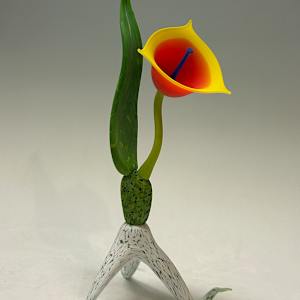 Sunrise Trillium by Nolan Prohaska, Image 2.