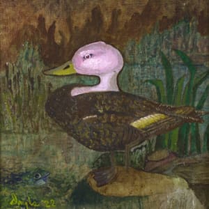 Pink Headed Duck by Douglas Black
