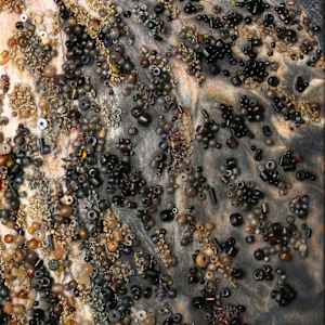 Winter Kale by Sharon Wright, Image 1.