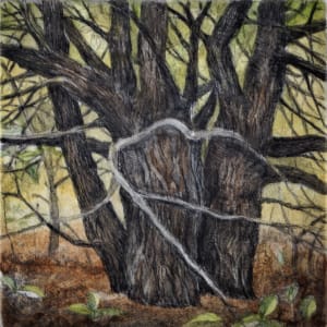 Trail Tree (Framed) by Julie Sutter-Blair