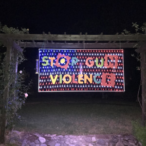 Stop Gun Violence by Gina M 