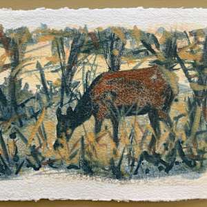 In First Light by Amanda Kaye Bielby 