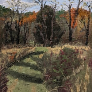 Meadow Path, Late Autumn
