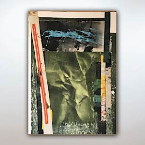 This land is my land by Toni Bico