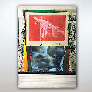 This land is your land by Toni Bico