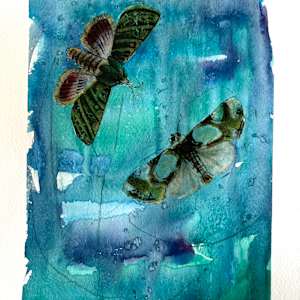 Two Butterflies by Darline Braz, Image 1.