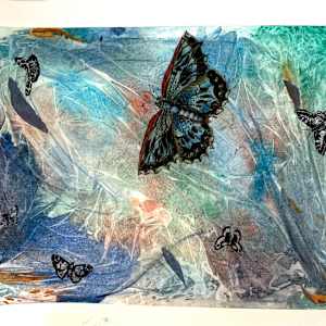 Butterflies by Darline Braz