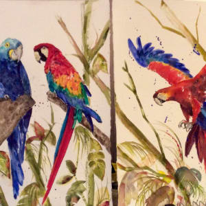 Macaws by Marina Marinopoulos