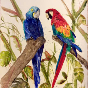 Macaws by Marina Marinopoulos 