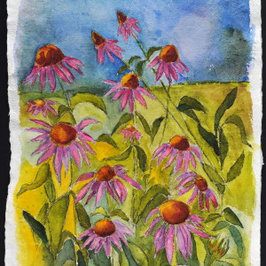 Echinacea diptych by Marina Marinopoulos 
