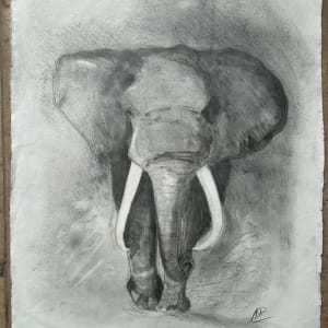 Elephant by Marina Marinopoulos 