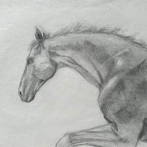 Horse drawing by Marina Marinopoulos