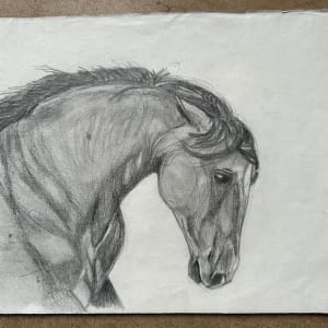 Horse drawing 2 by Marina Marinopoulos 