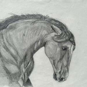 Horse drawing 2 by Marina Marinopoulos
