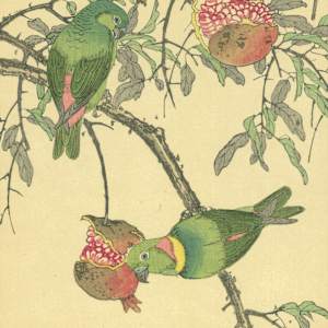 石榴和藍冠懸鸚鵡 Pomegranate and Blue-crowned Hanging Parrot by 今尾景年 Imao Keinen
