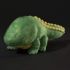 帶有京都口音的鱷魚 Kyotoite by 福井 司 FUKUI Tsukasa 