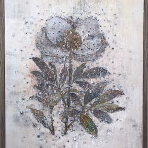 芍藥 Lactiflora by 王挺宇 WANG Ting Yu