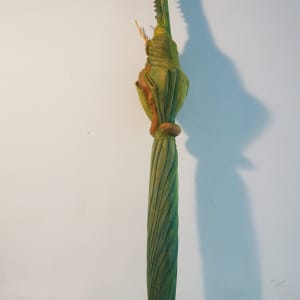 螳螂-擬態 Mantis-Mimicry by 陳家邦 CHEN Jia Bang 