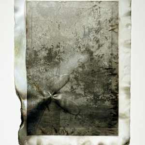 幻覺中的沉默與孤獨  The Silence and Solitude in Illusion by 西村大樹 Daiki NISHIMURA 