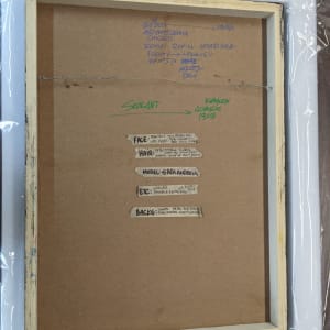 莎拉‧安德魯絲：芝加哥變裝皇后系列 SARA ANDREWS: Drag Landscapes - Chicago by 坦尼斯 Tennessee Loveless 