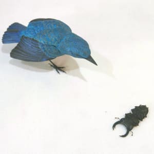 裝死的雄鹿甲蟲和藍岩耳鵯 Playing Dead Stag Beetle and Blue Bulbul by 門永哲郎 TETUROU Kadonaga, Image 3.