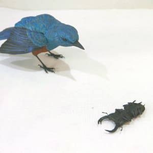 裝死的雄鹿甲蟲和藍岩耳鵯 Playing Dead Stag Beetle and Blue Bulbul by 門永哲郎 TETUROU Kadonaga 