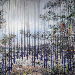 預見夢想：那時我還不懂記憶是什麼  Foresight Dream - I was too young to have a way to remember them by 西村大樹 Daiki NISHIMURA