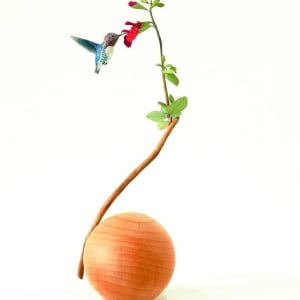 世界上最小的豆蜂鳥和櫻桃鼠尾草 World's Smallest Bean Hummingbird and Cherry Sage by 門永哲郎 TETUROU Kadonaga